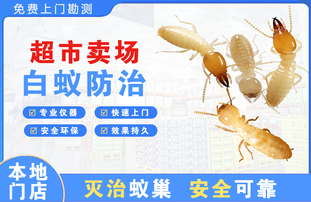 江门超市卖场白蚁防治