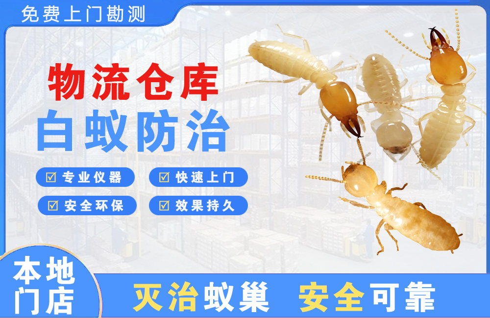 江门物流仓库白蚁防治