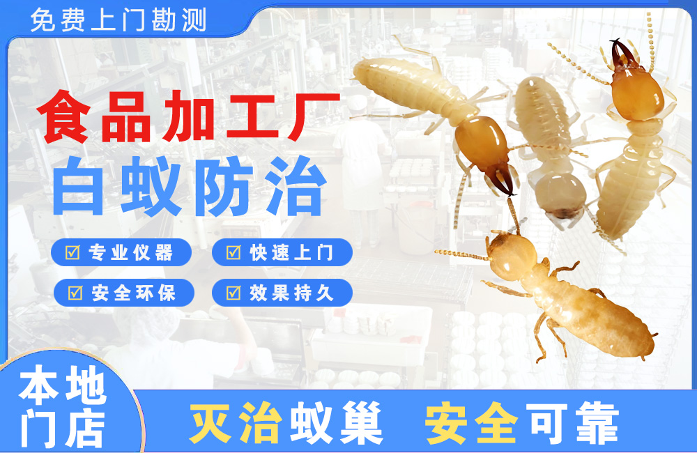 江门食品加工厂白蚁防治