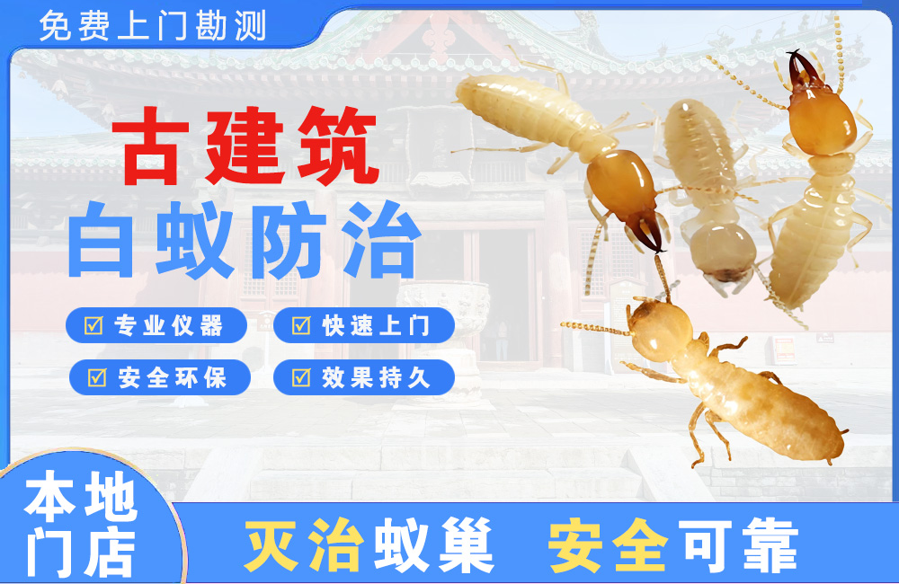 江门古建筑白蚁防治
